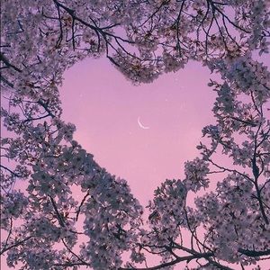 Meet your Posher, Regina